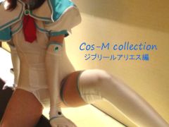 Cos-M collection VOL02　魔界天使ジ○リールアリエス調教編