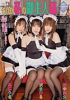 それが私のご主人様