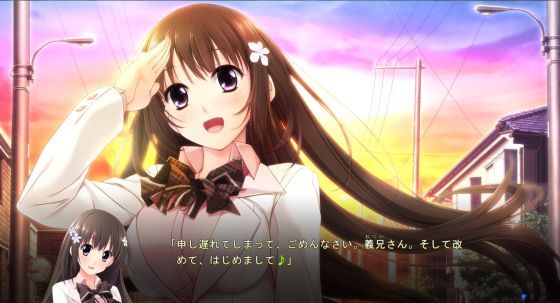 義妹だからできること、妹じゃないとダメなこと