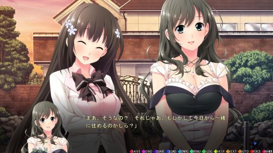 義妹だからできること、妹じゃないとダメなこと